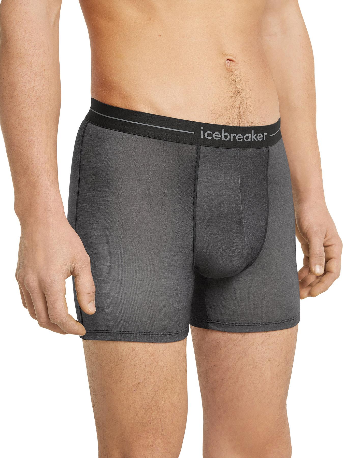 Product gallery image number 2 for product Men's Merino 150 Anatomica Boxers Transition