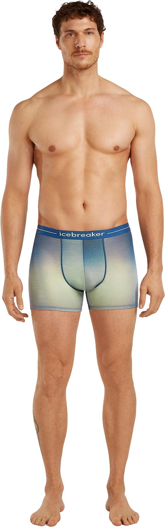 Product gallery image number 3 for product Men's Merino 150 Anatomica Boxers Transition