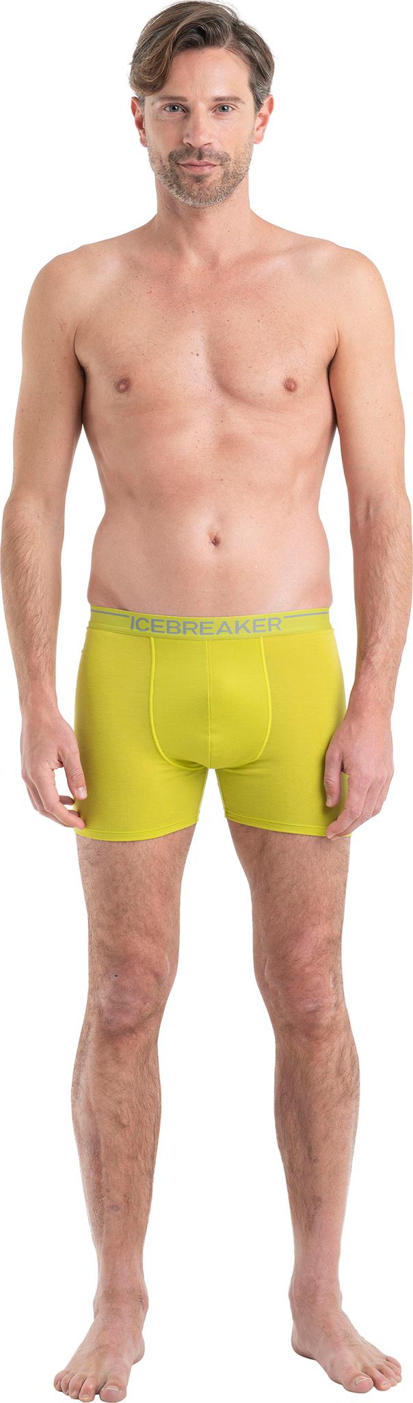 Product gallery image number 9 for product 150 Anatomica Merino Boxers - Men's