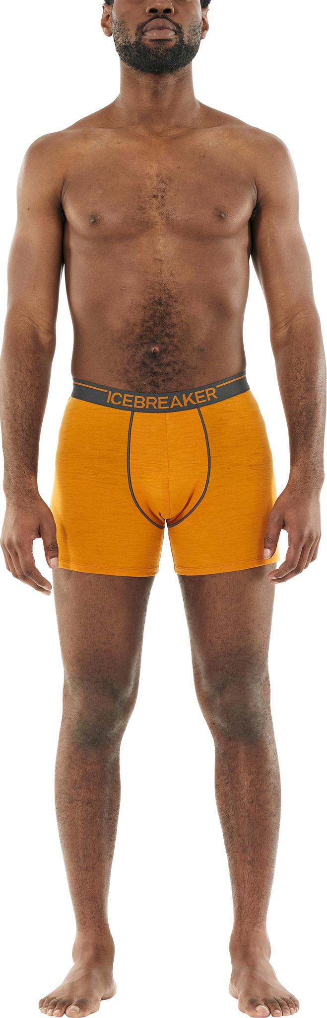 Product gallery image number 7 for product 150 Anatomica Merino Boxers - Men's