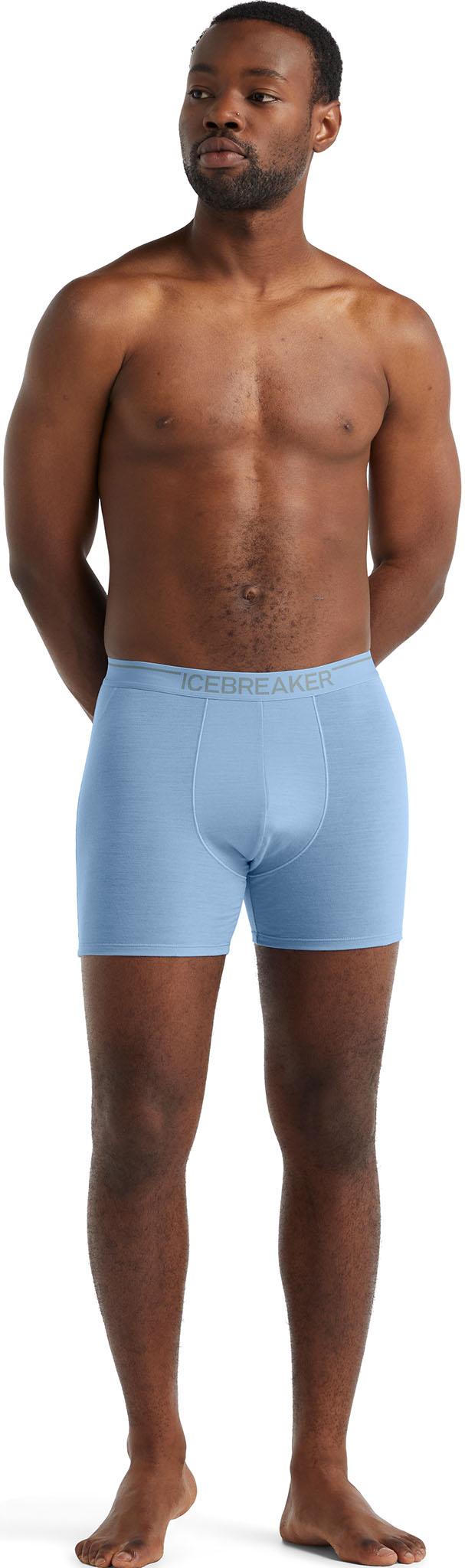 Product gallery image number 3 for product 150 Anatomica Merino Boxers - Men's