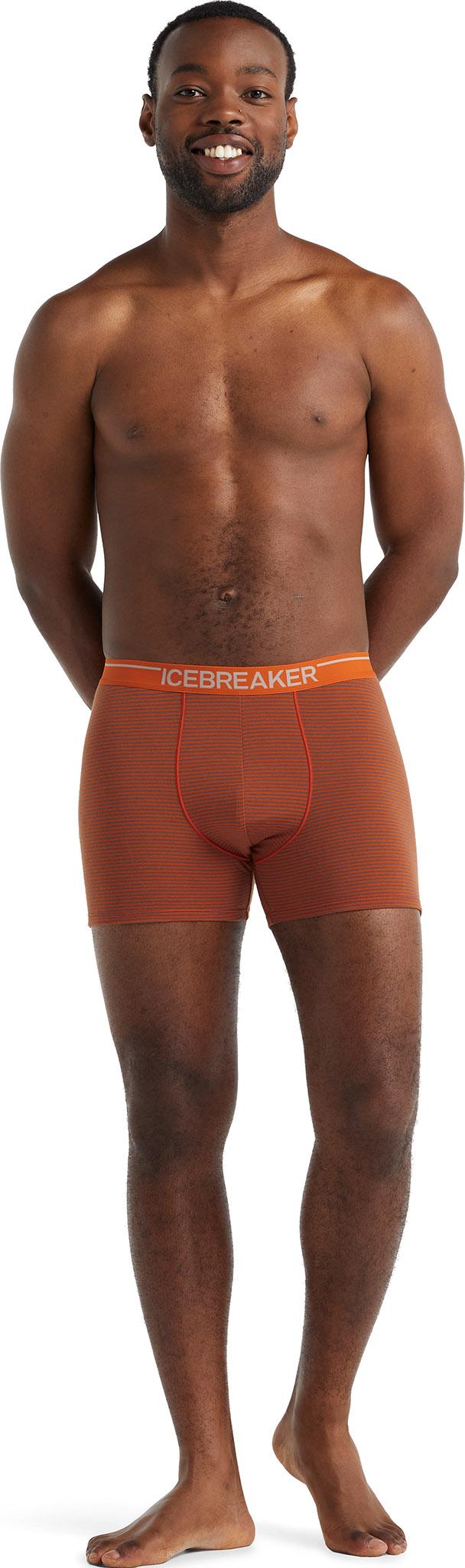 Product image for Merino 150 Anatomica Boxers - Men's