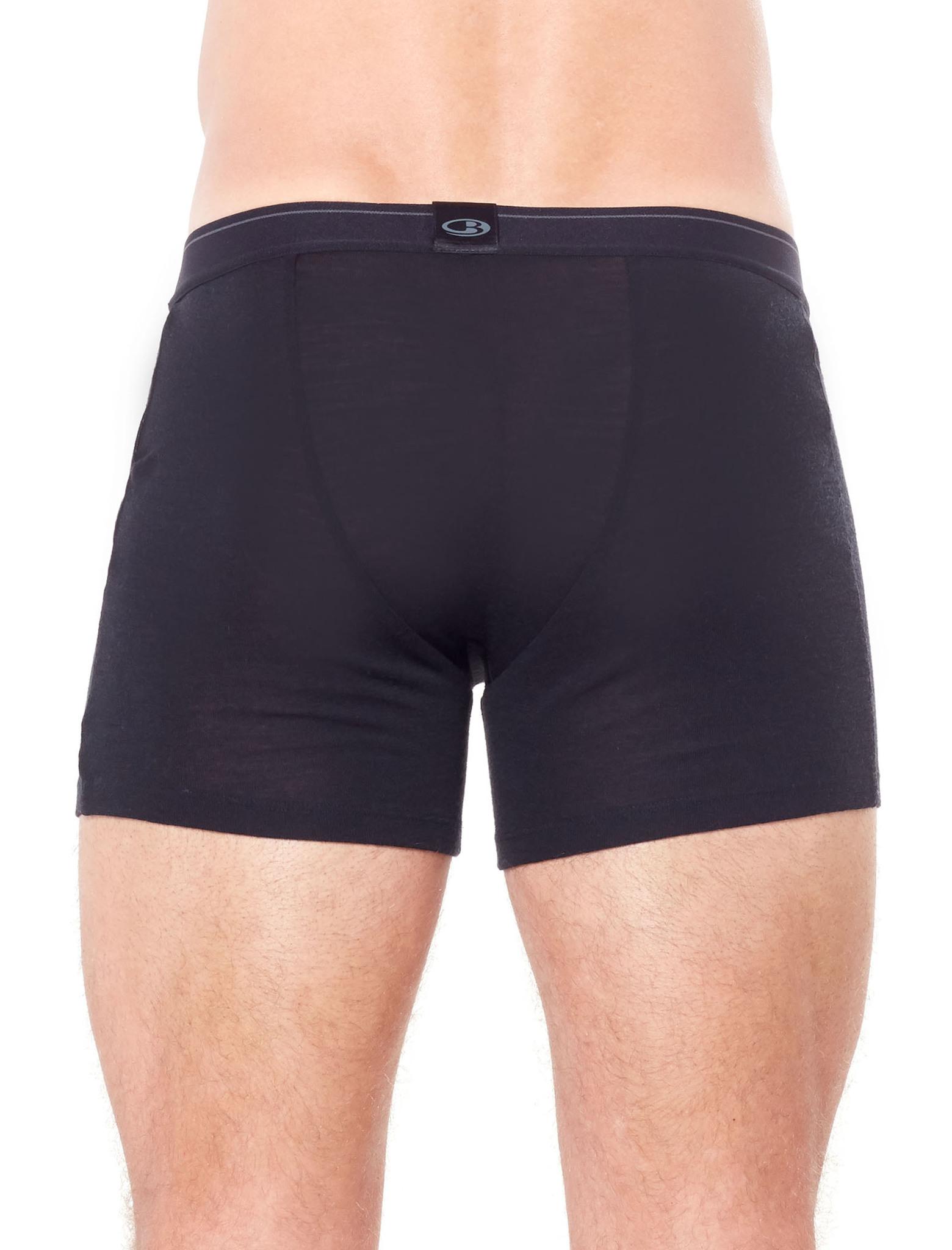 Product gallery image number 2 for product Merino 175 Everyday Thermal Boxers with Fly - Men's