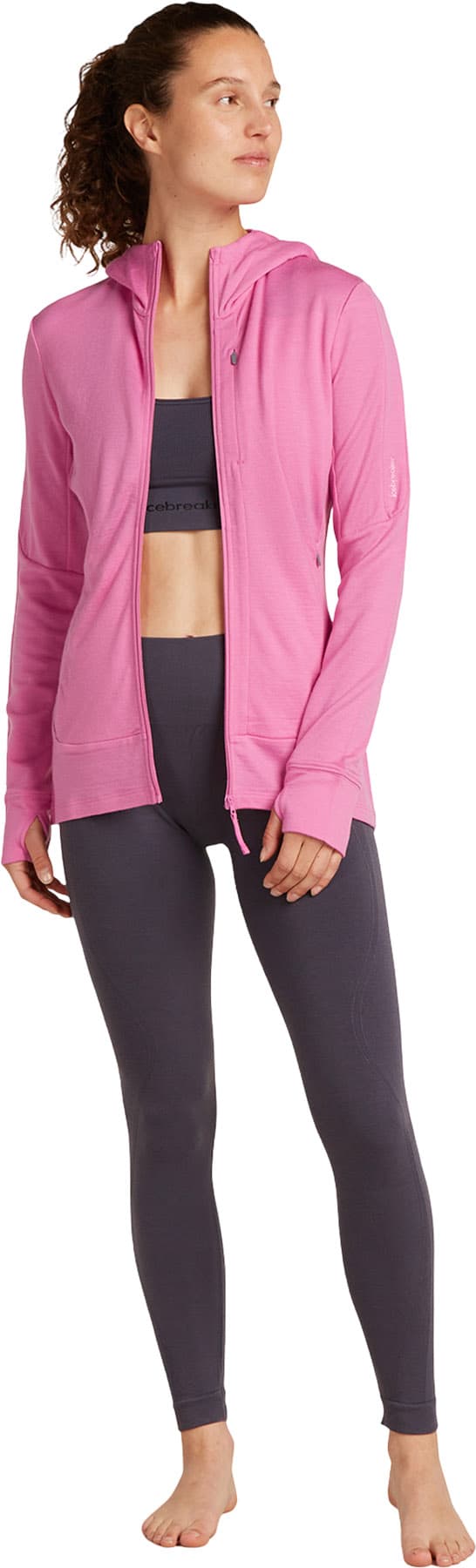 Product gallery image number 11 for product Merino 260 Quantum Long Sleeve Zip Hoodie - Women's