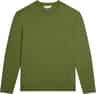 Colour: Sphagnum