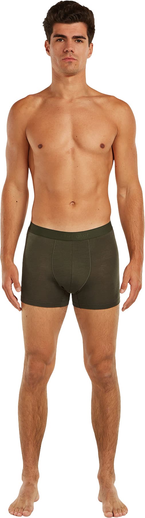 Numéro de l'image de la galerie de produits 4 pour le produit Boxeur en mélange mérinos 125 Cool-Lite Anatomica - Homme