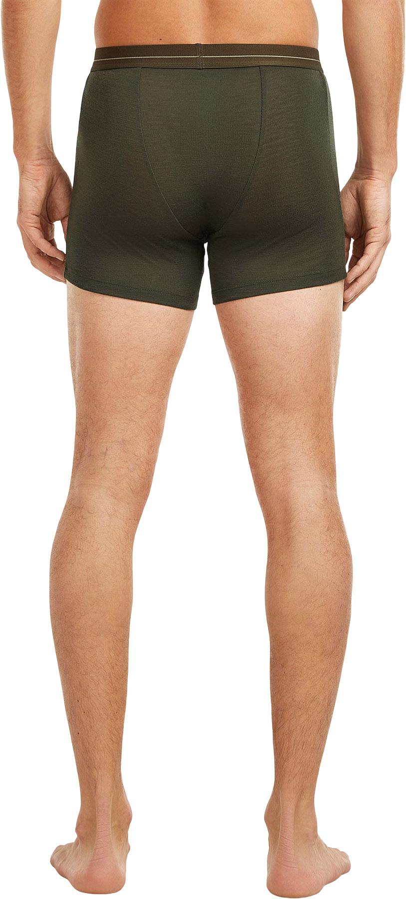 Numéro de l'image de la galerie de produits 3 pour le produit Boxeur avec braguette thermique en mérinos 175 Everyday - Homme