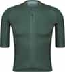 Colour: Laurel Wreath