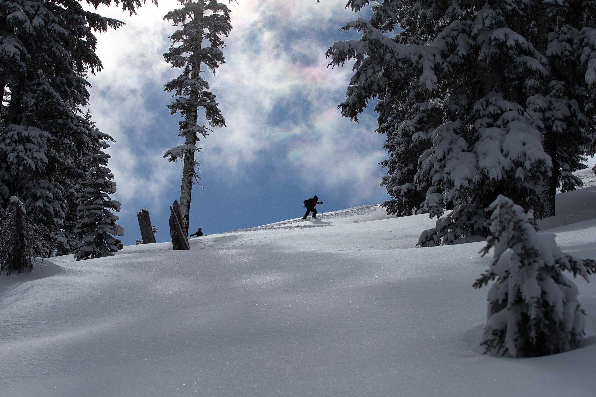 Product gallery image number 9 for product Mountain Twin Splitboard - Men's