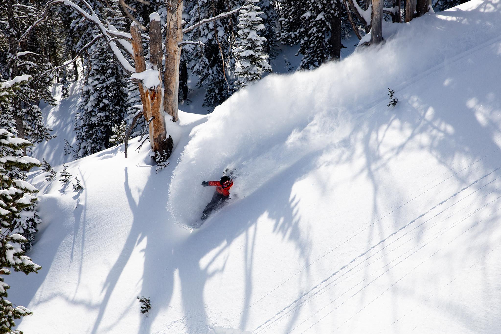 Product gallery image number 9 for product Dream Weaver Splitboard - Women's