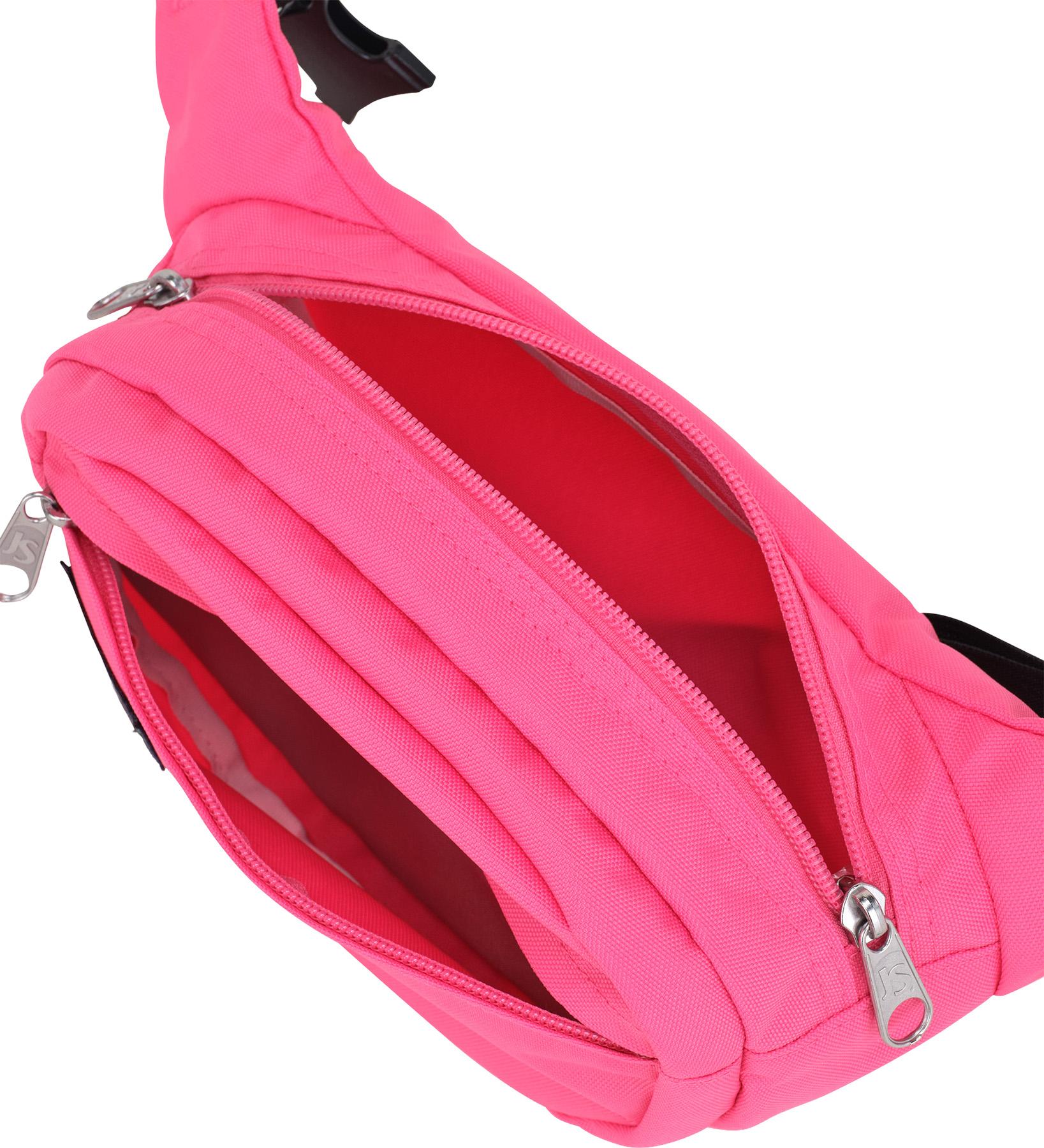 Numéro de l'image de la galerie de produits 4 pour le produit Sac Ceinture Fifth Avenue 2.5L