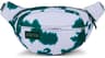 Couleur: Holographic Holstein