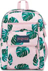 Colour: Monstera Leaves