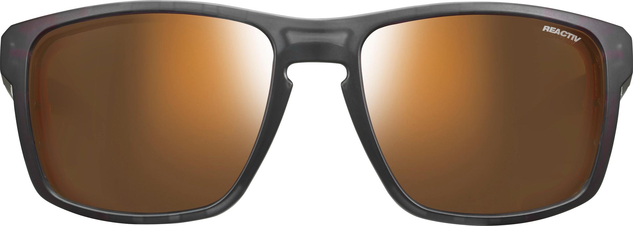 Product gallery image number 3 for product Shield M Reactiv 2-4 Polarized Sunglasses - Men's