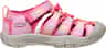 Colour: Hot Pink - Orchid Petal