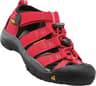 Couleur: Ribbon Red - Gargoyle