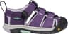 Couleur: Purple Pennant - Lavender Gray