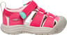 Couleur: Raspberry - Pink A Boo