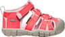 Couleur: Dubarry - Pink A Boo