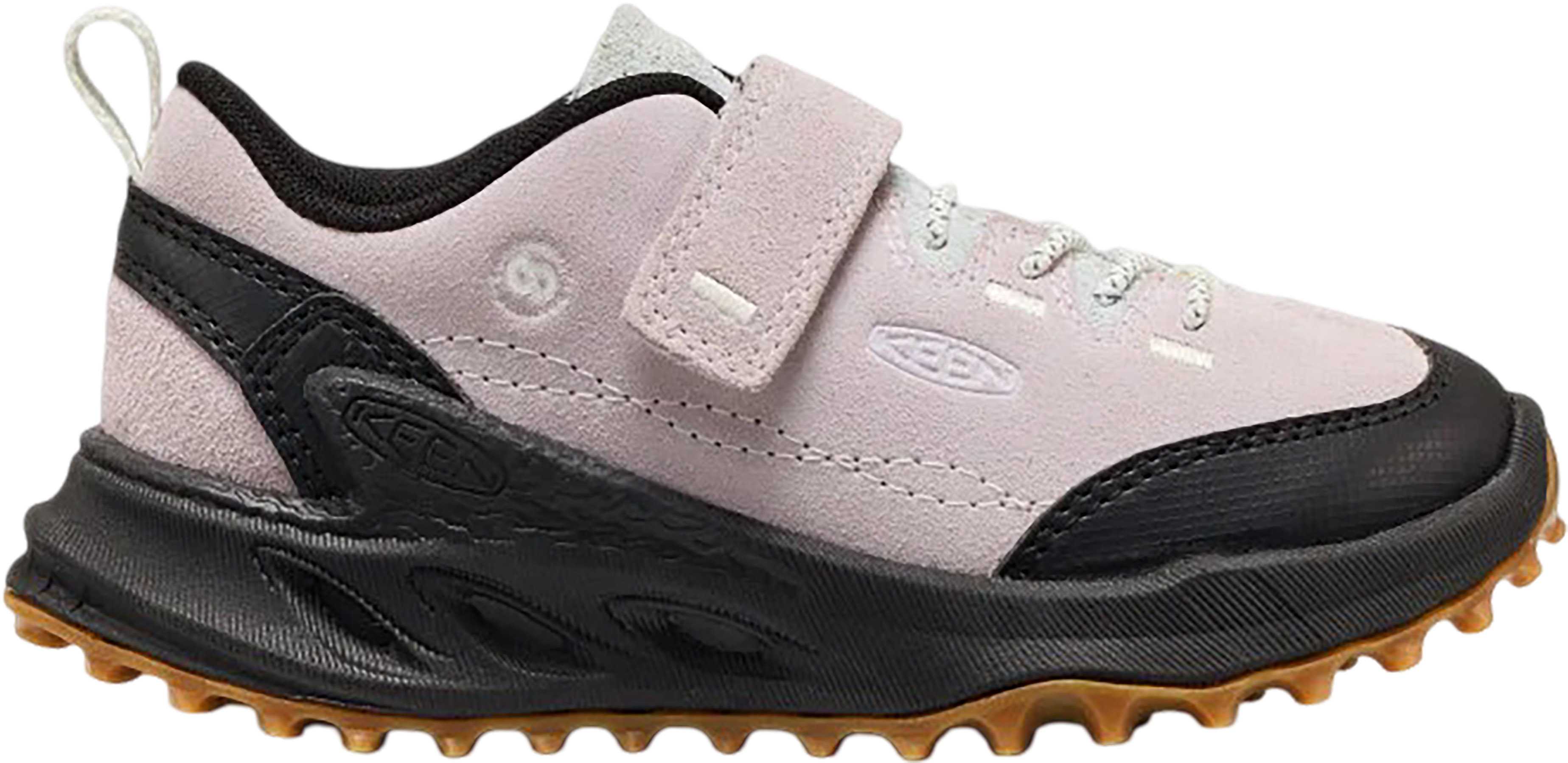 Thistle - Ballad Blue