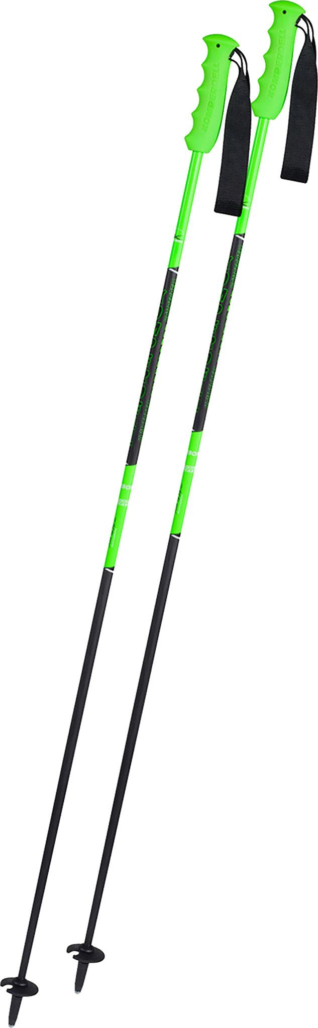 Product gallery image number 1 for product Carbon Champion Henrik Ski Poles - Unisex