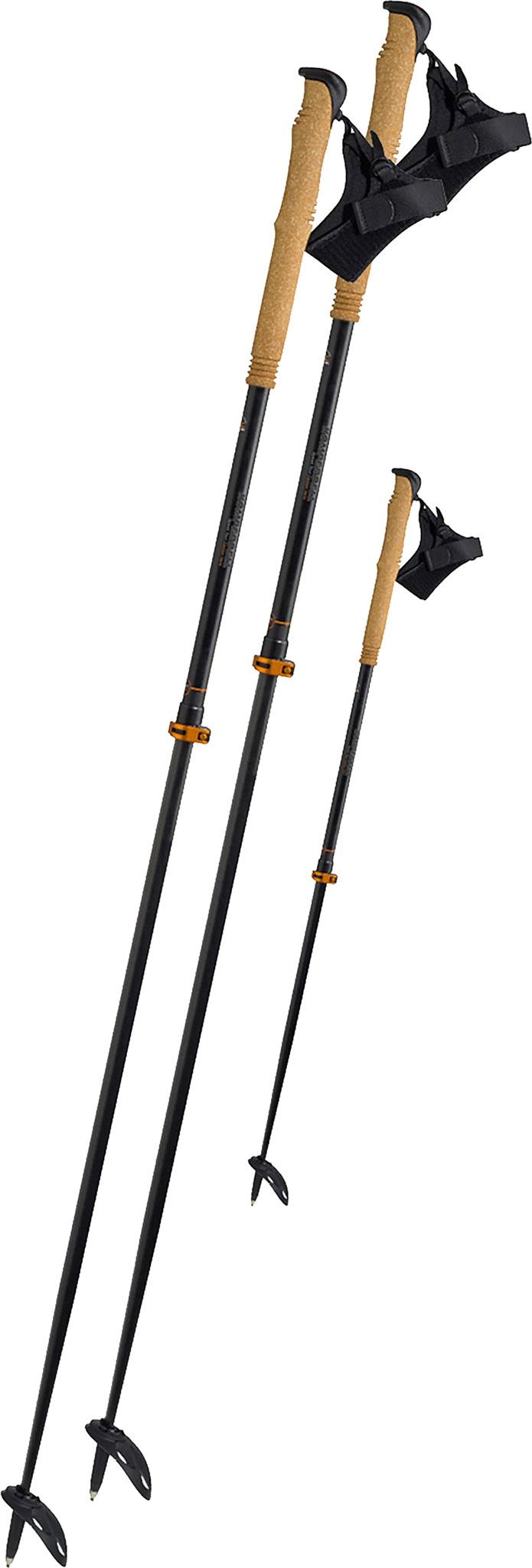 Product gallery image number 1 for product Speed Tour Carbon Vario Ski Poles - Unisex