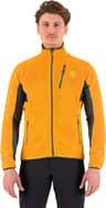 Couleur: Golden - Midnight