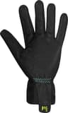 Couleur: Black - Aqua Ski