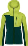 Colour: Forest - Kiwi Colada