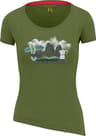 Couleur: Cedar Green
