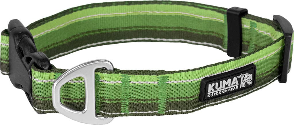 Product gallery image number 1 for product Backtrack Dog Collar
