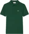Colour: Vert