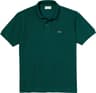 Colour: Forest Green