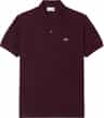 Colour: Oxalis