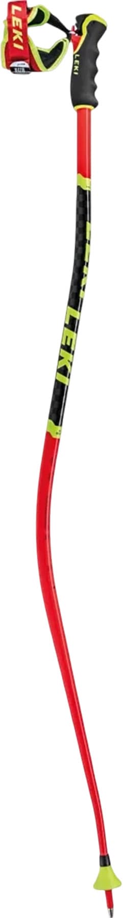 Image de produit pour Bâtons de ski WCR SG/DH 3D