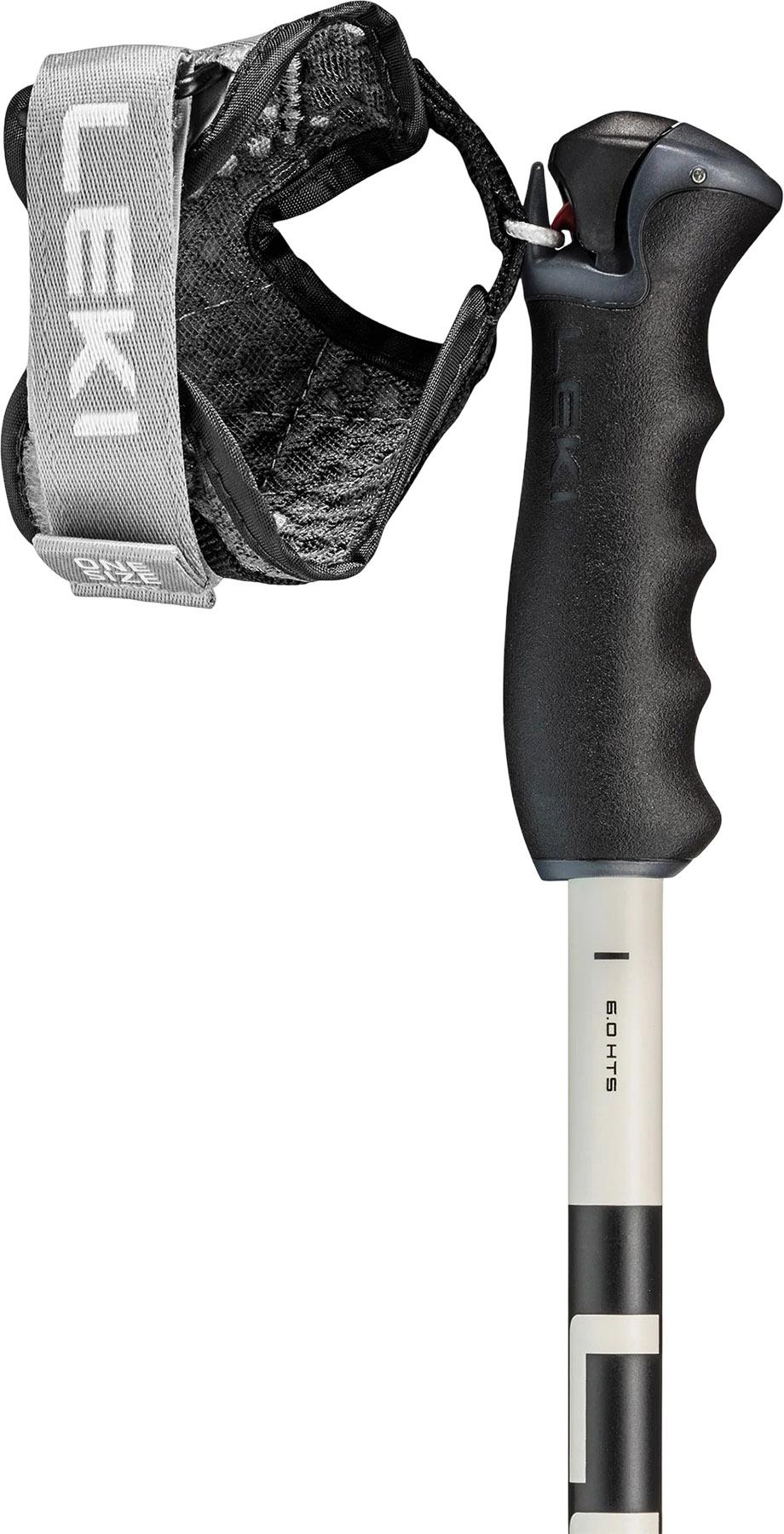 Product gallery image number 2 for product Detect S Vario Poles