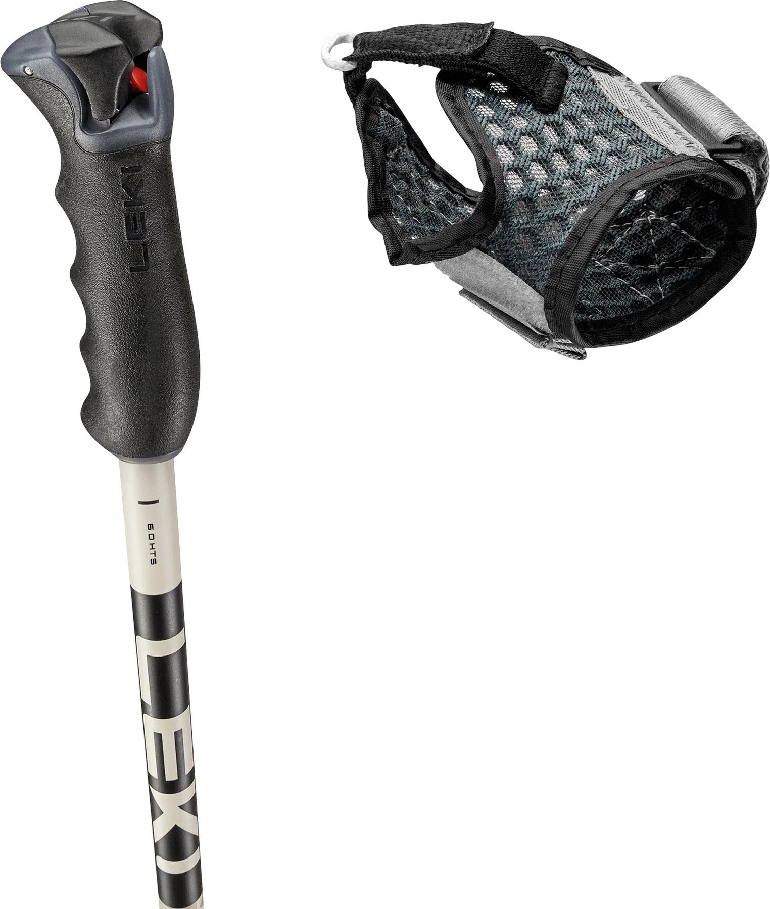 Product gallery image number 4 for product Detect S Vario Poles