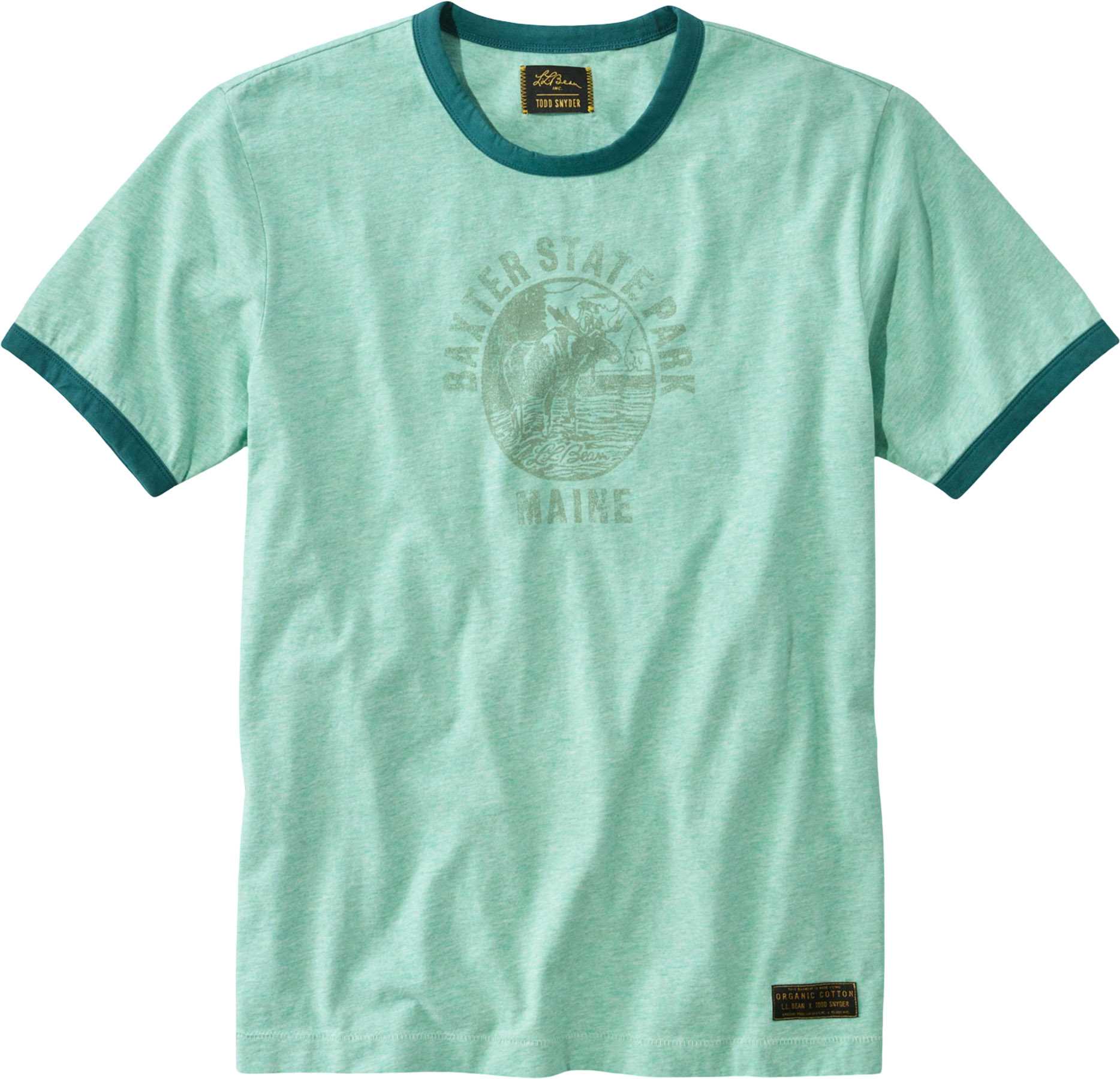 Pale Aqua - Shade Teal Print