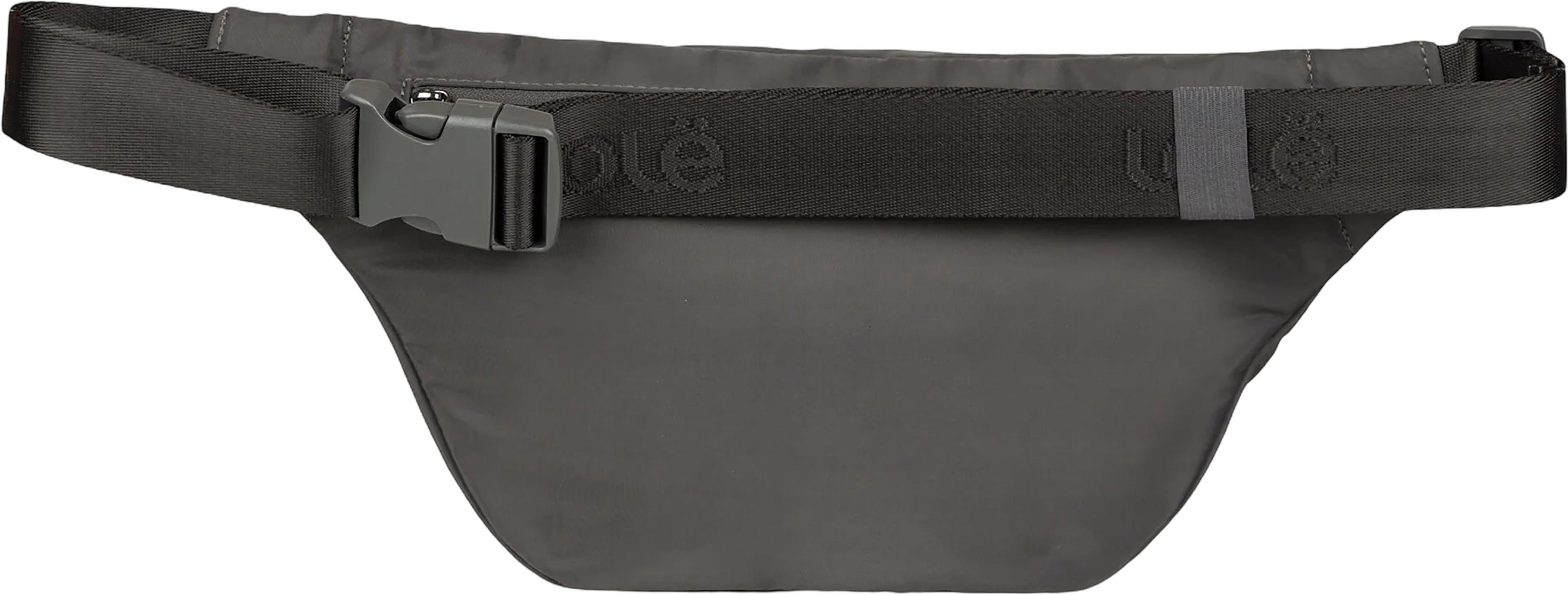 Product gallery image number 4 for product Taylor 3L Belt Bag