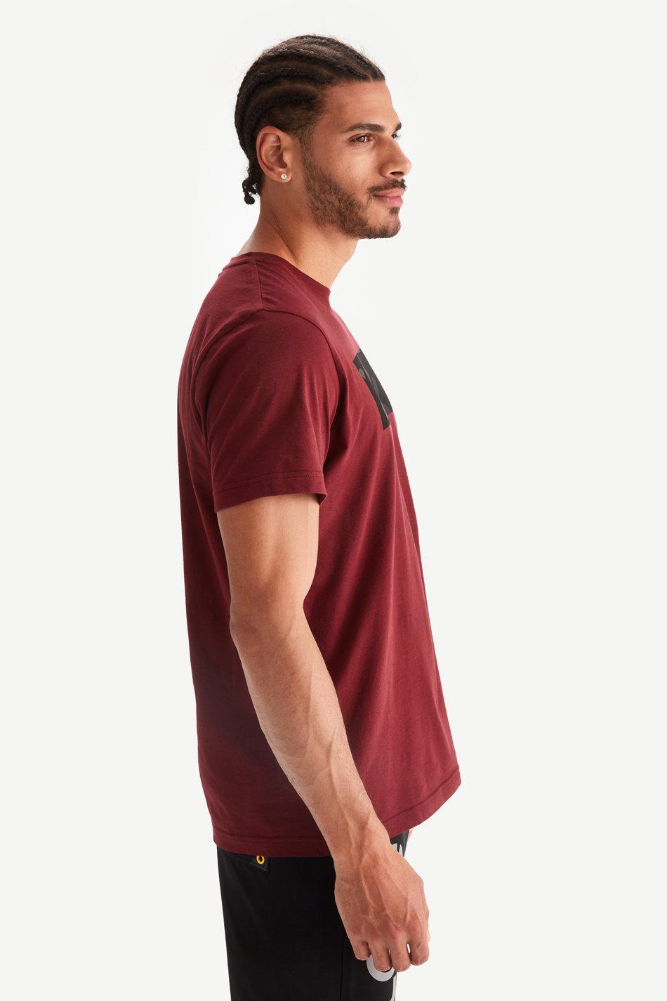 Numéro de l'image de la galerie de produits 4 pour le produit T-shirt à manches courtes Ace - Homme