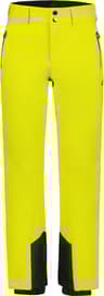 Couleur: Aloe