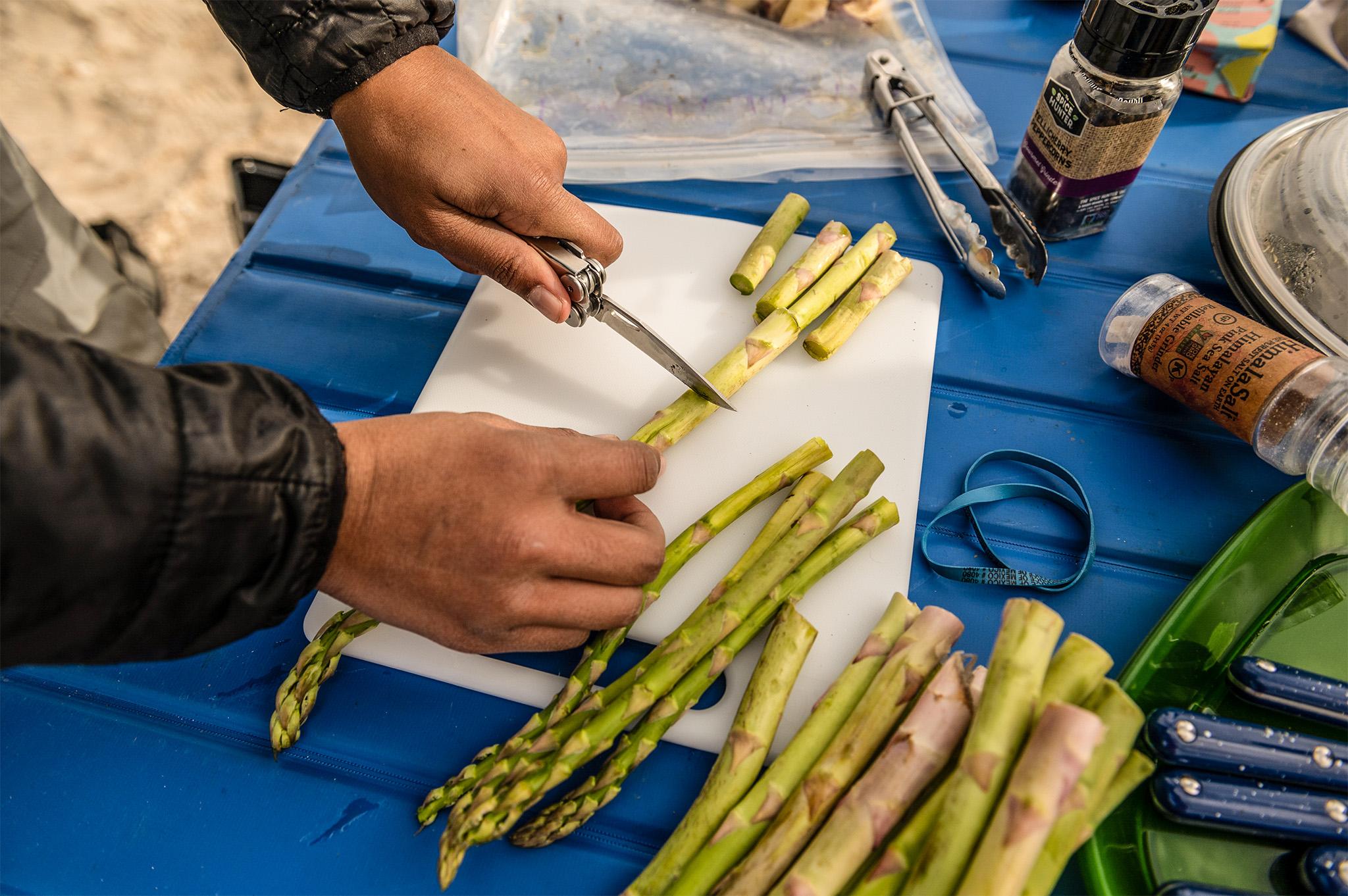 Product gallery image number 14 for product Curl Multi-Tools