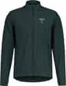 Colour: Mountain Pine