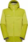 Colour: Acacia