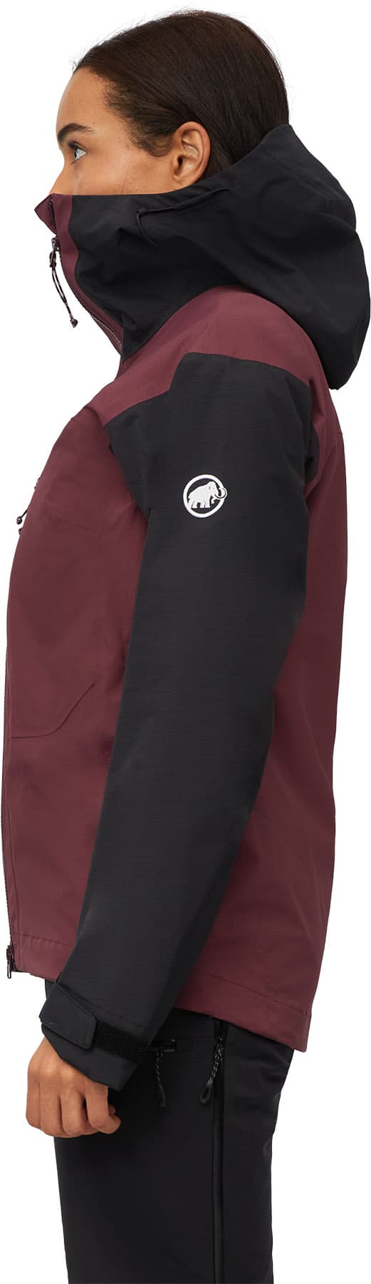 Numéro de l'image de la galerie de produits 5 pour le produit Manteau à capuchon Taiss HS - Femme