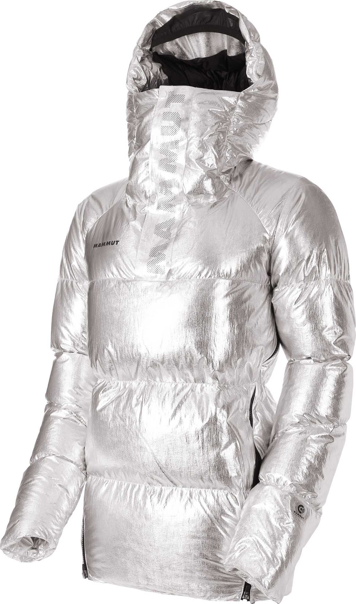 Shiny Silver