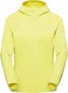 Colour: Holunder