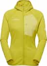 Colour: Acacia - Holunder