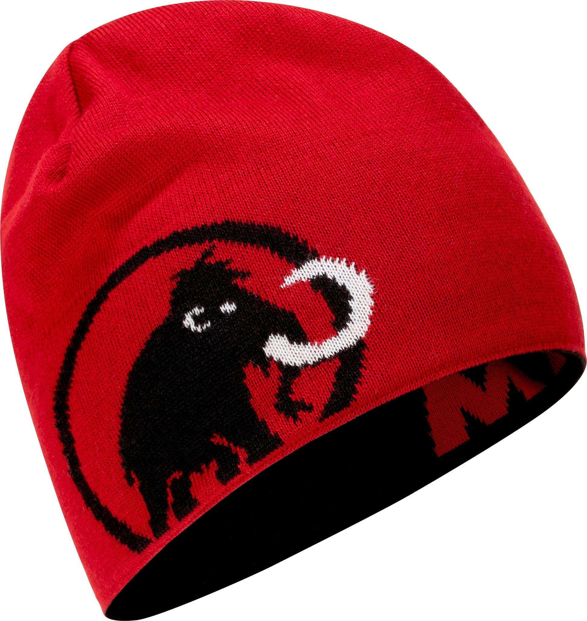 Product gallery image number 2 for product Mammut Logo Beanie - Unisex