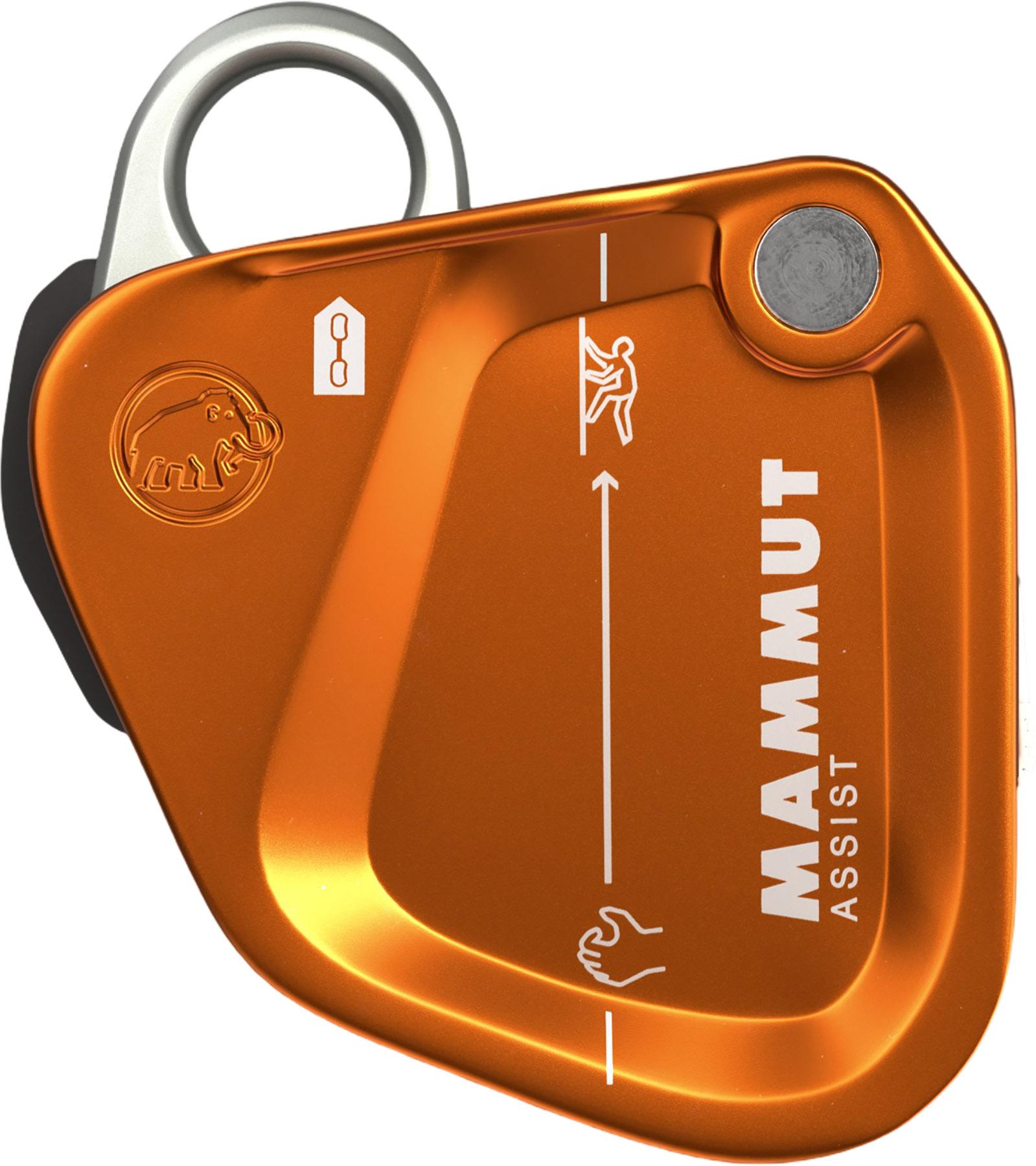 Product image for Assist Belay Resistor Device